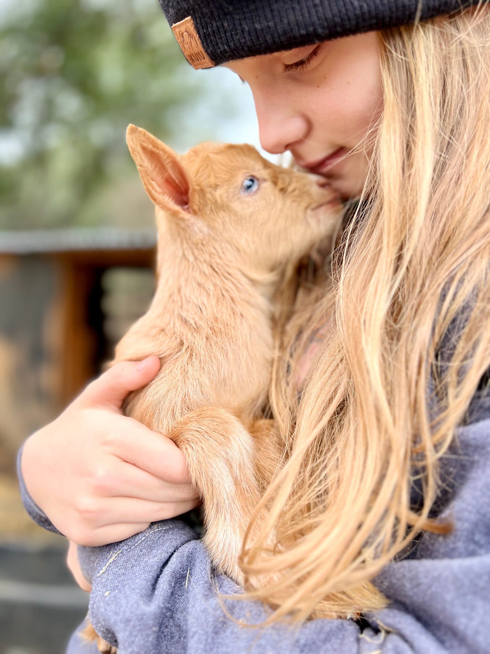 A child cuddling a baby goat at the farm